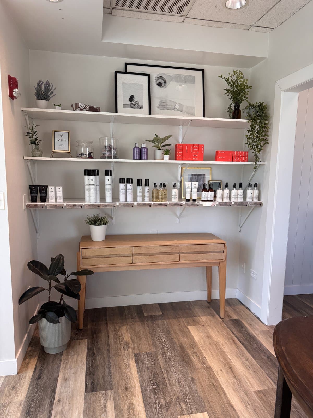 Retail shelf of professional hair care products above a wood console